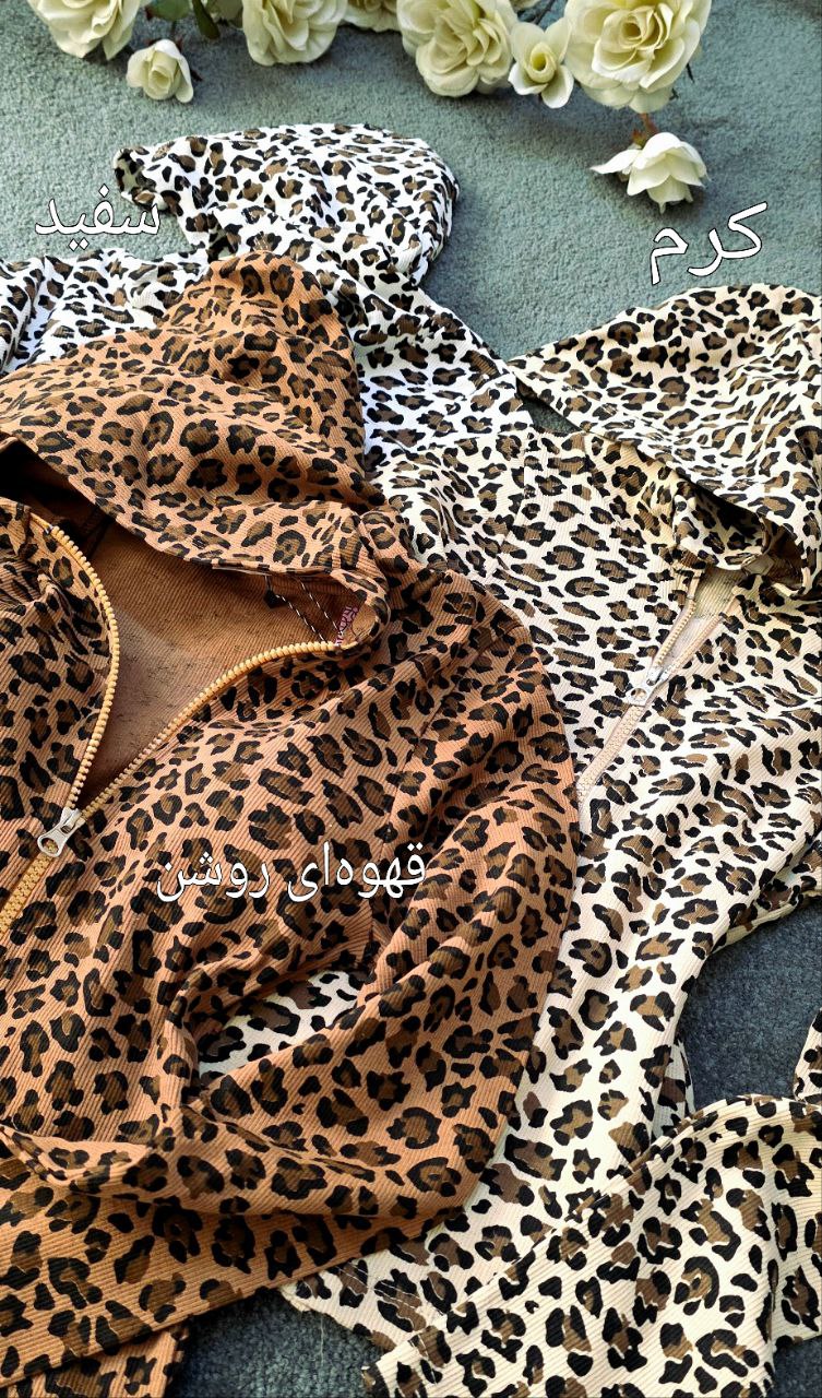 IMG_20251114_205746_934